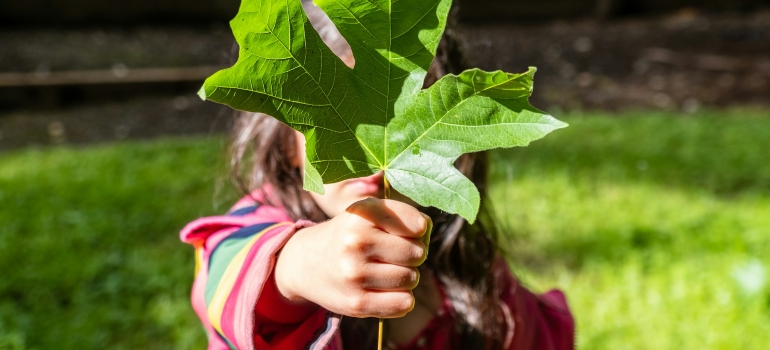 Picture of a child holding a leaf 