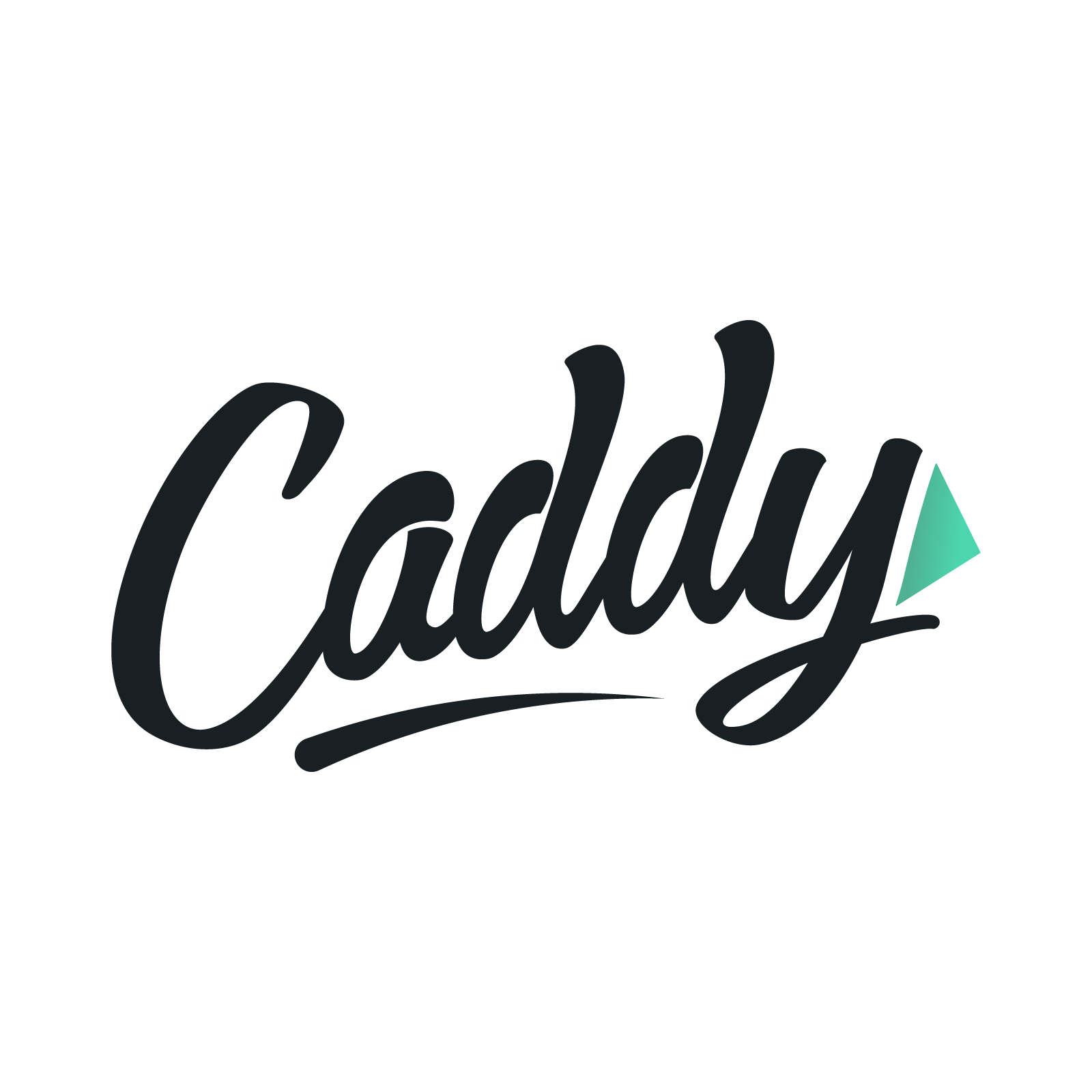 Caddy Moving – Denver