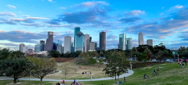 Picture of Houston 