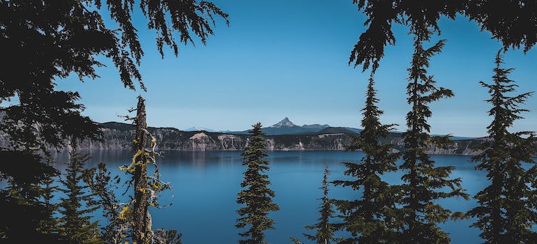 Job Seekers Are Moving to the Western States such as Oregon for its natural beaty and growing economy