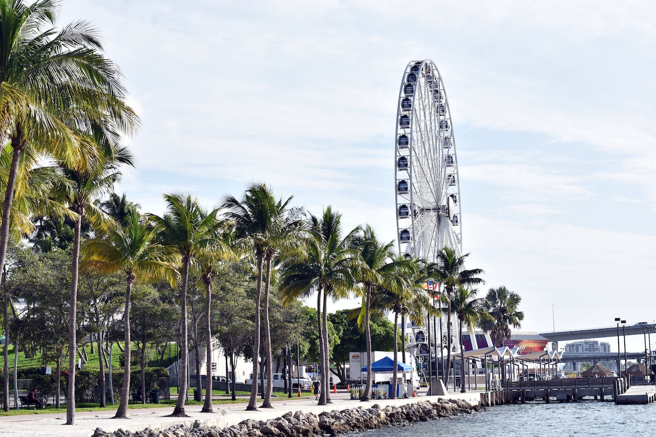 Ferris Wheel in Miami