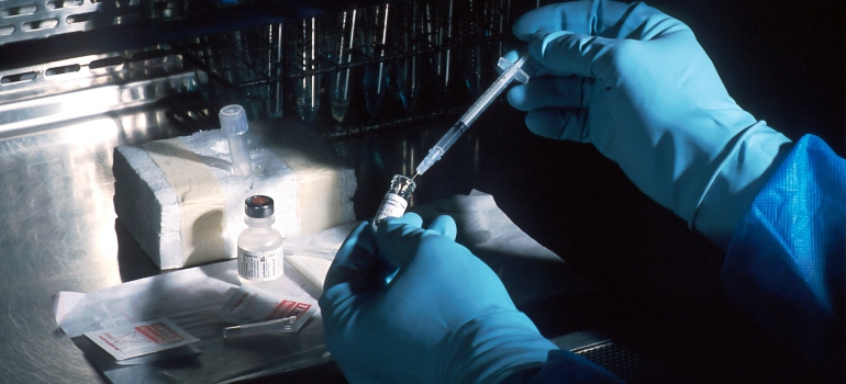 Picture of a person developing a vaccine in one of the cities for job seekers in Maryland