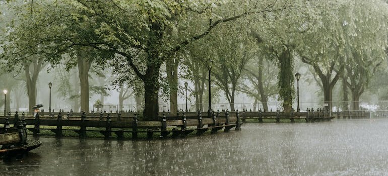 A park during rain