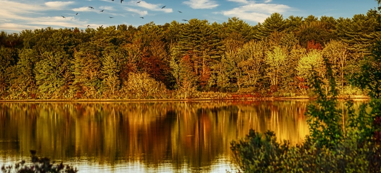 Picture of a lake in Massachusetts