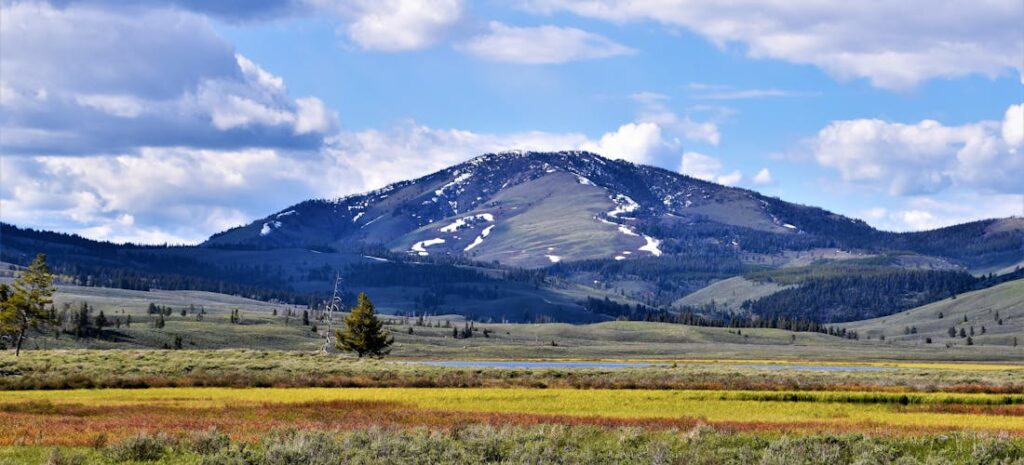 Beautiful outdoors you can encounter in Montana after getting help from some of the cross country moving companies Arizona