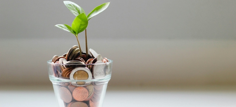 Picture of coins and plants in a cup 