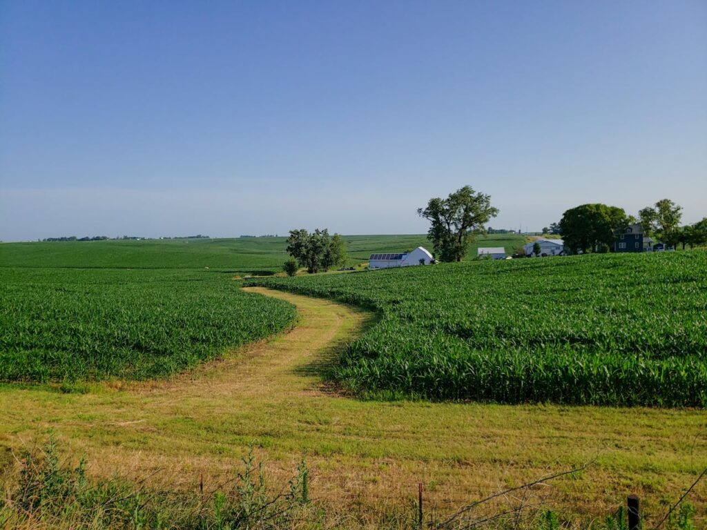 green grass field in Iowa