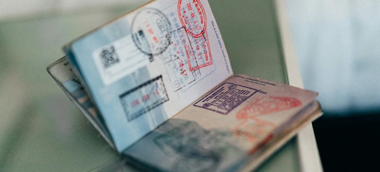 Picture of a passport that will be used for moving with your pet