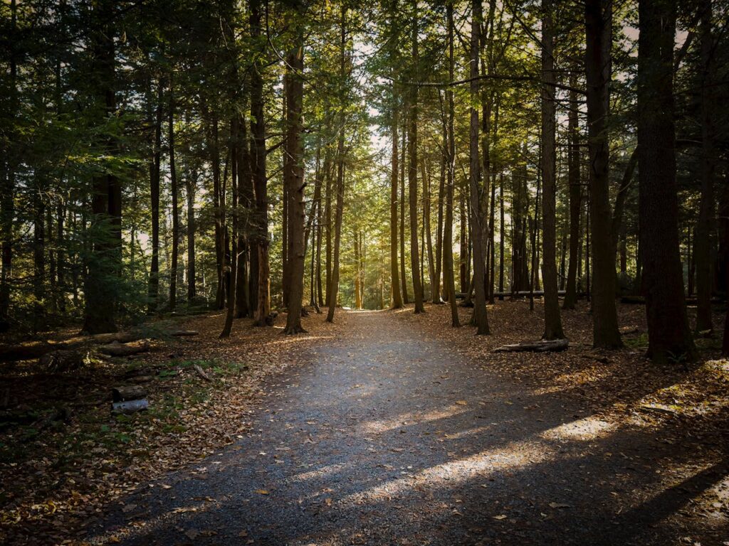a park in Maryland, one of the best places to visit after your move to Maryland