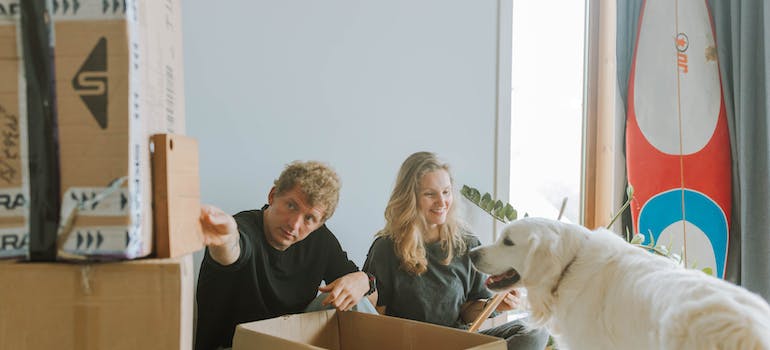 a couple packing boxes and a dog standing near