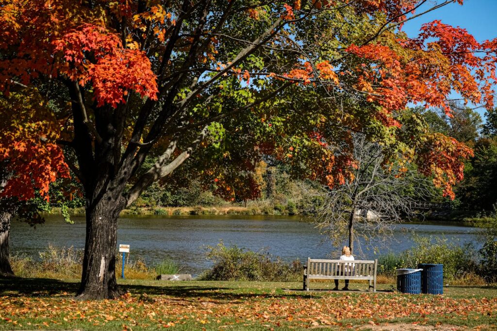 person sitting in a park