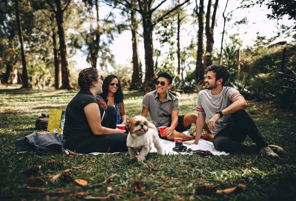 friends enjoying a picnic in a park