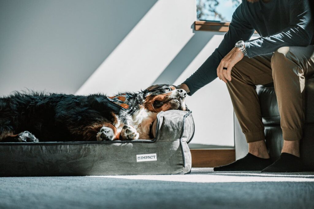 man cuddling dog