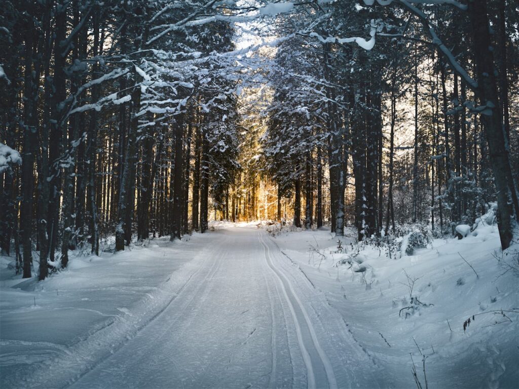 snowy road