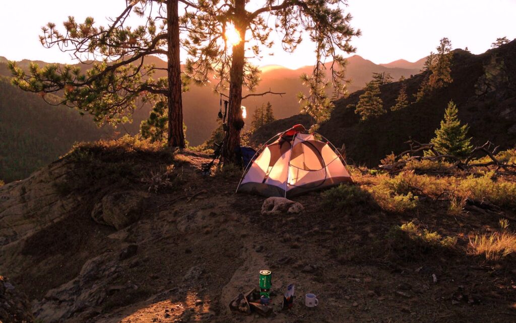 Tent Near Tree