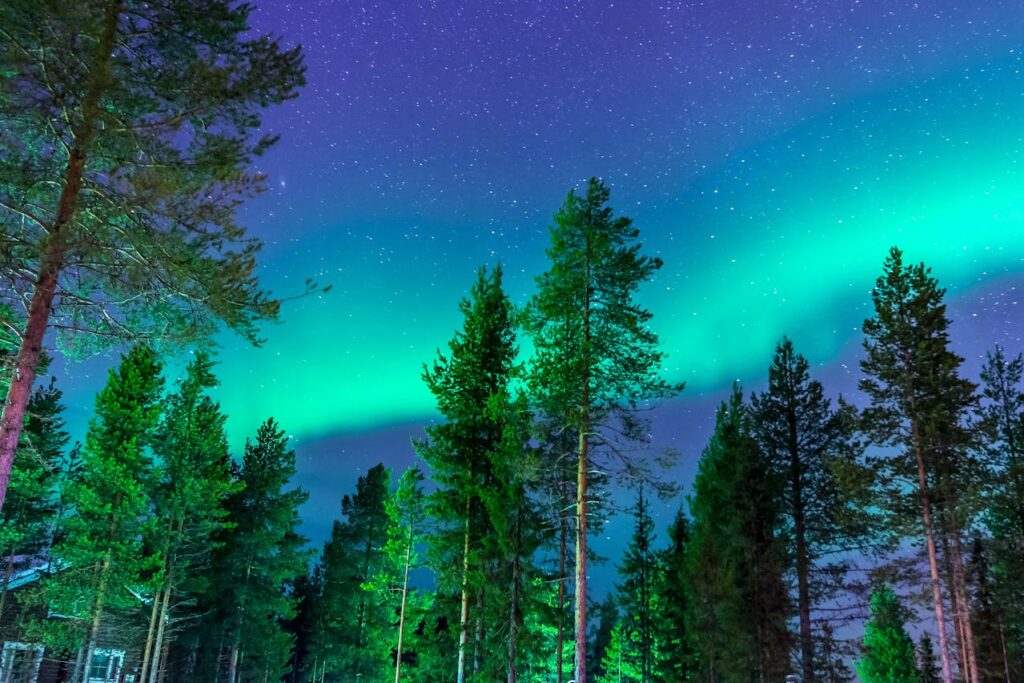 Northern lights