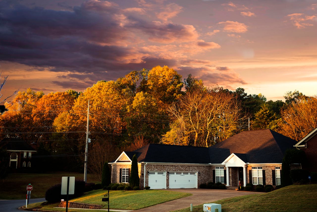 Scenic View of the Trees