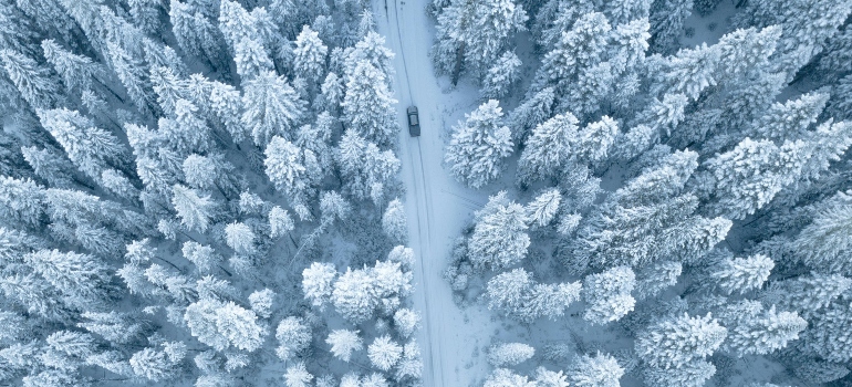 The car passes the road through the snow-covered forest