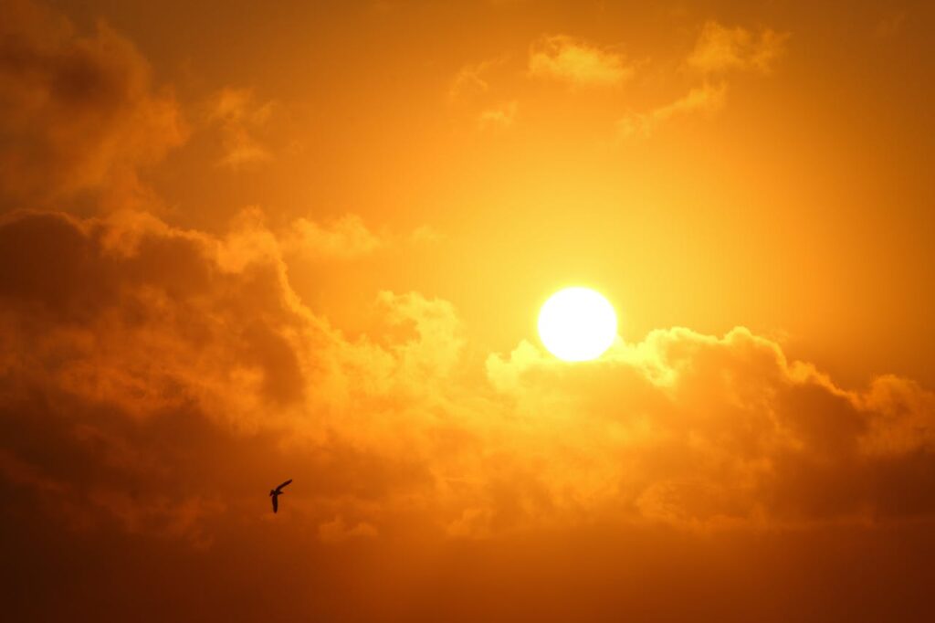 Sunset
