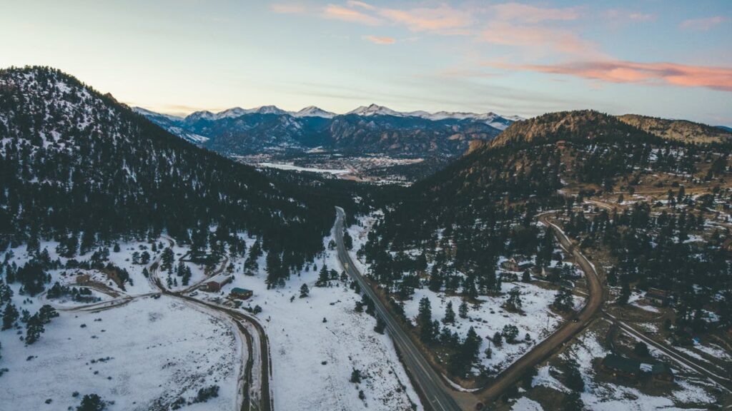 Aerial View of Road Between Trees and Mountains