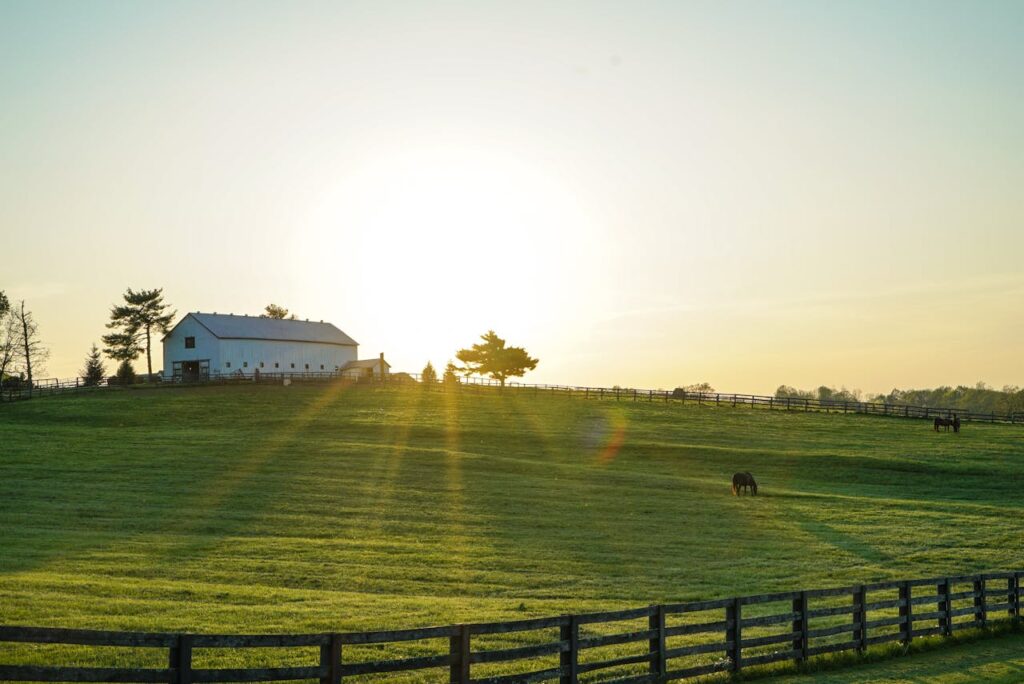 White House Beside Grass Field