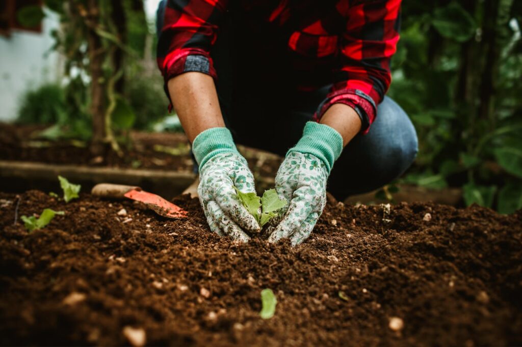 Person with Gloves Planting Plant in Soil
