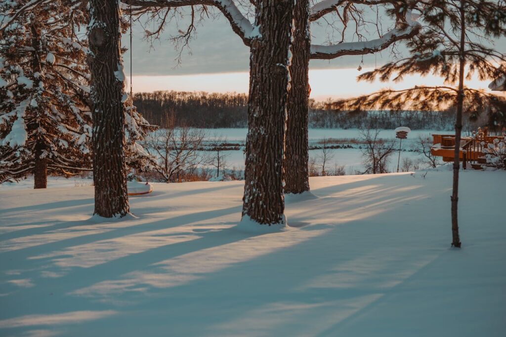 Serene Winter Landscape in Ashby, Minnesota